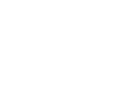 Iconos de características